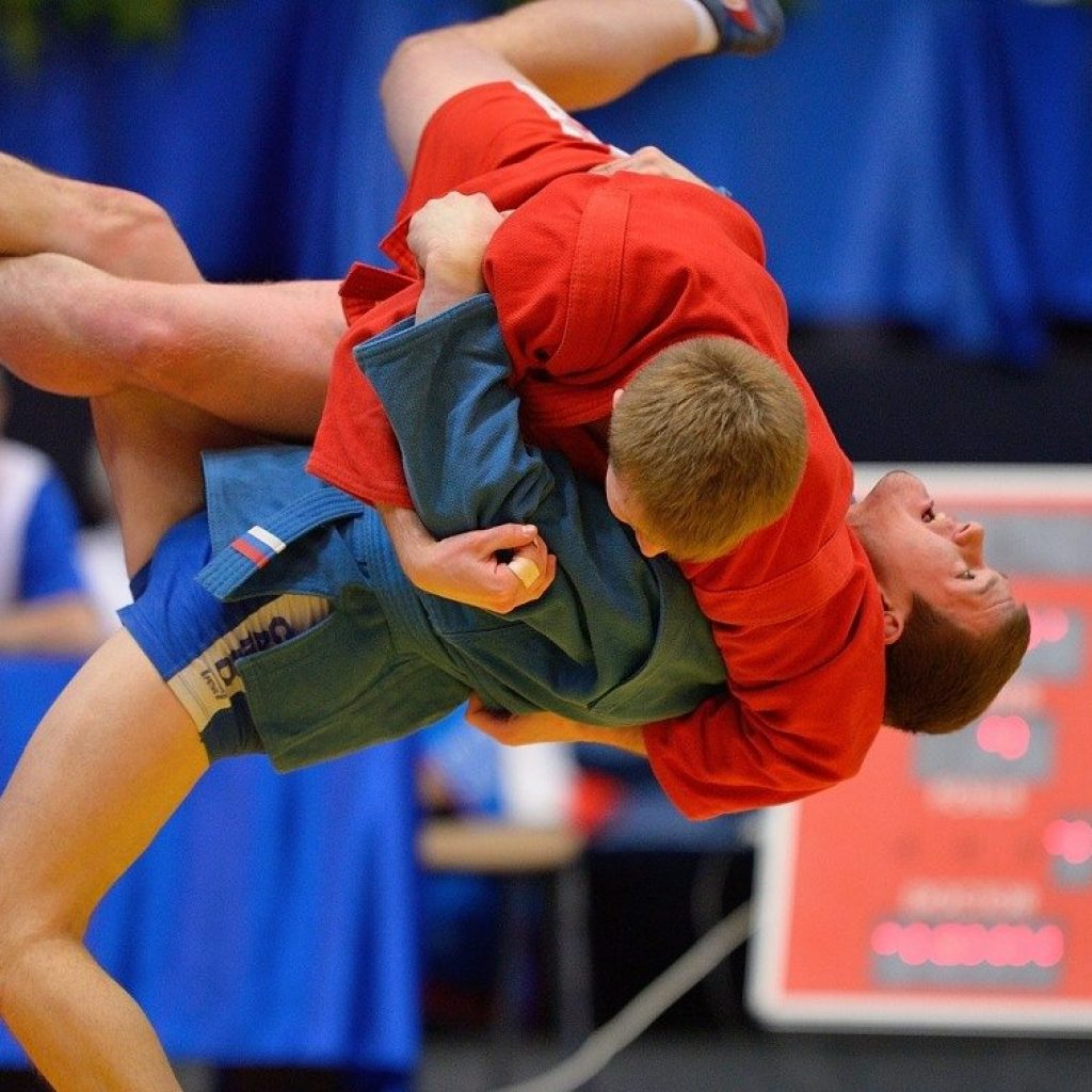 1645006086_68-kartinkin-net-p-kartinki-sambo-72